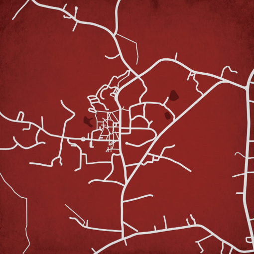 Hampden-Sydney College Campus Map Art by City Prints