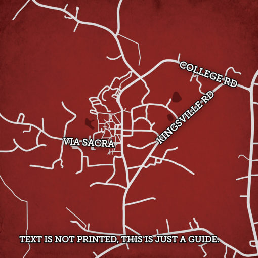 Hampden-Sydney College Campus Map Art by City Prints - Image 2