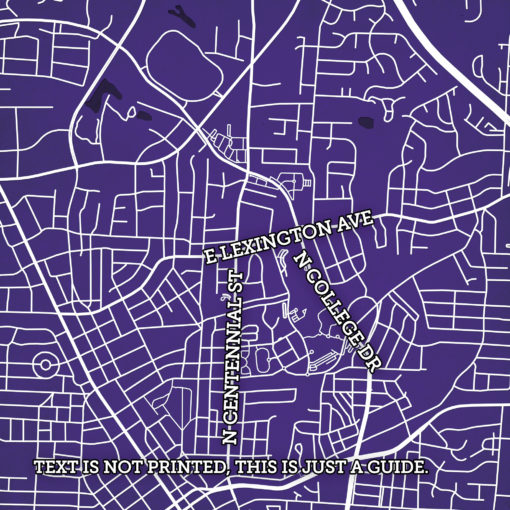 High Point University Campus Map Art by City Prints - Image 2