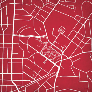 Lenoir-Rhyne University Campus Map Art by City Prints