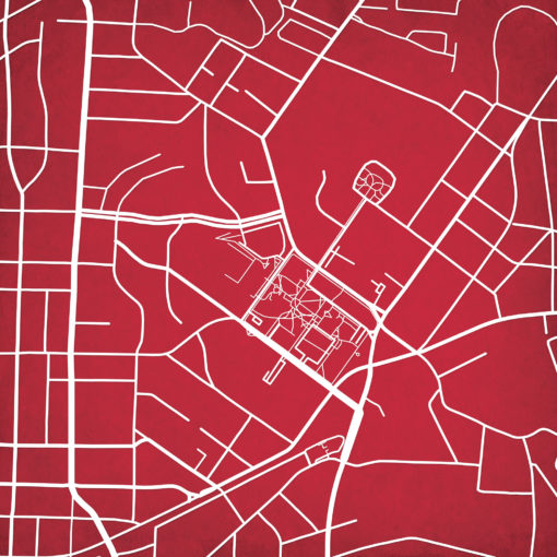 Lenoir-Rhyne University Campus Map Art by City Prints