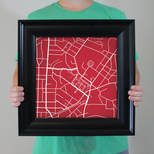 Lenoir-Rhyne University Campus Map Art by City Prints - Image 5