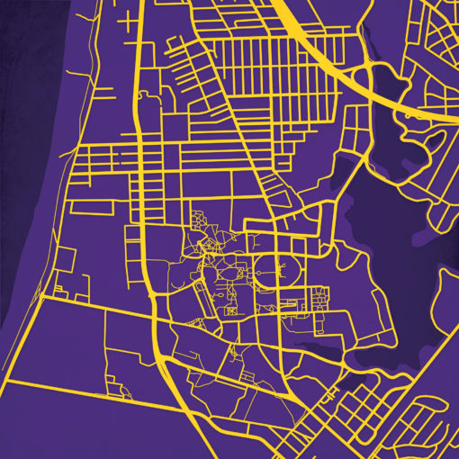 Louisiana State University Campus Map Art by City Prints