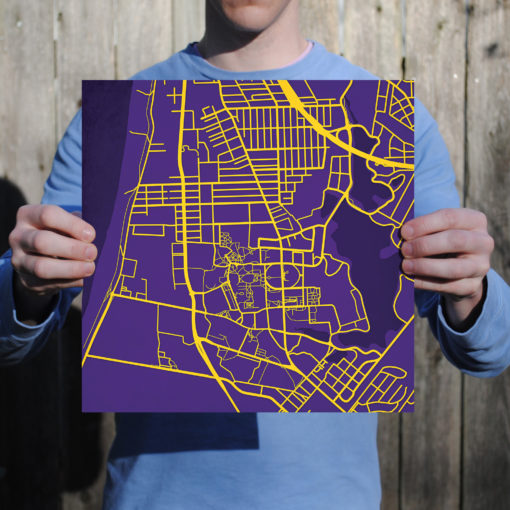 Louisiana State University Campus Map Art by City Prints - Image 3