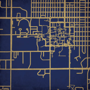 Montana State University Campus Map Art by City Prints
