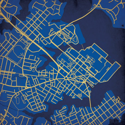 United States Naval Academy Campus Map Art by City Prints