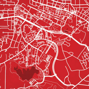North Carolina State University Campus Map Art by City Prints