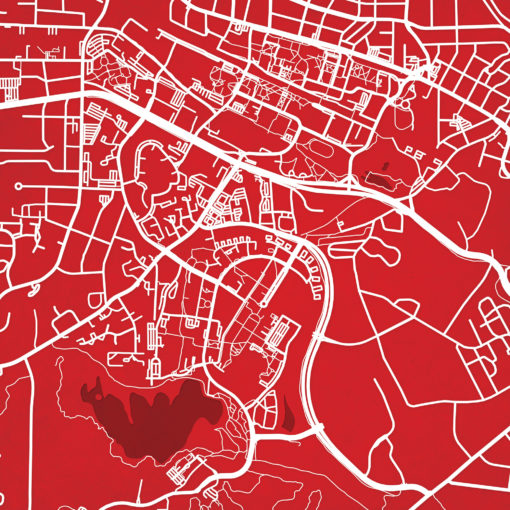 North Carolina State University Campus Map Art by City Prints