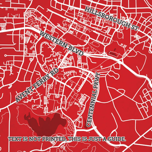 North Carolina State University Campus Map Art by City Prints - Image 2