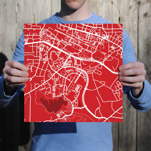 North Carolina State University Campus Map Art by City Prints - Image 3