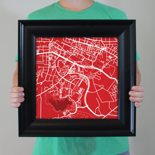 North Carolina State University Campus Map Art by City Prints - Image 5