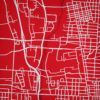 Ohio State University Campus Map Art by City Prints