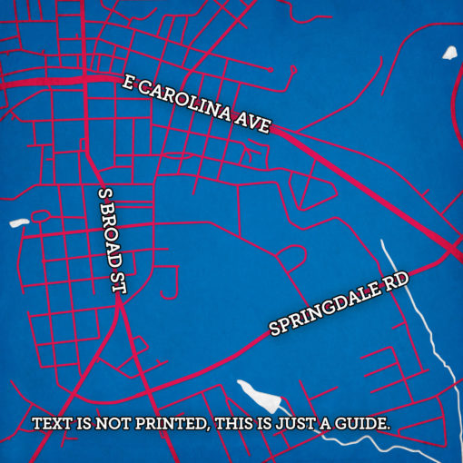 Presbyterian College Campus Map Art by City Prints - Image 2