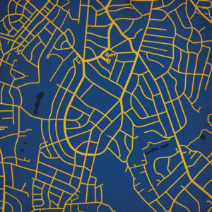 Queens University of Charlotte Campus Map Art by City Prints