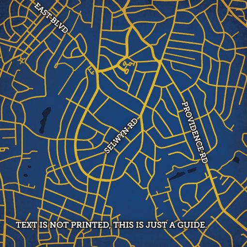 Queens University of Charlotte Campus Map Art by City Prints - Image 2