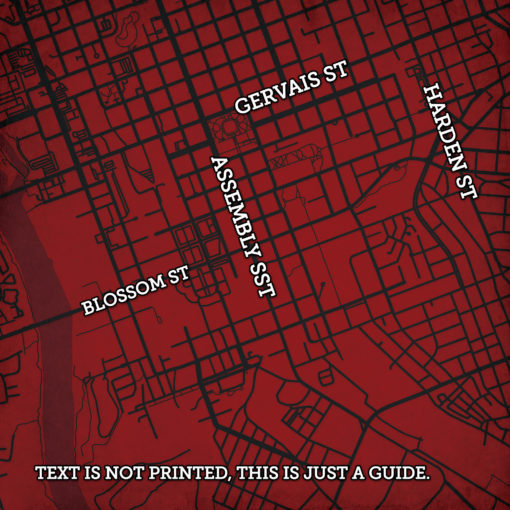 University of South Carolina Campus Map Art by City Prints - Image 2