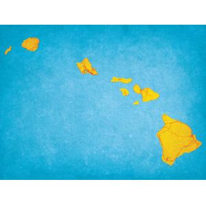 Hawaii Map Art by City Prints