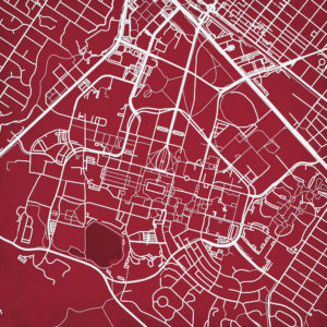 Stanford University Campus Map Art by City Prints