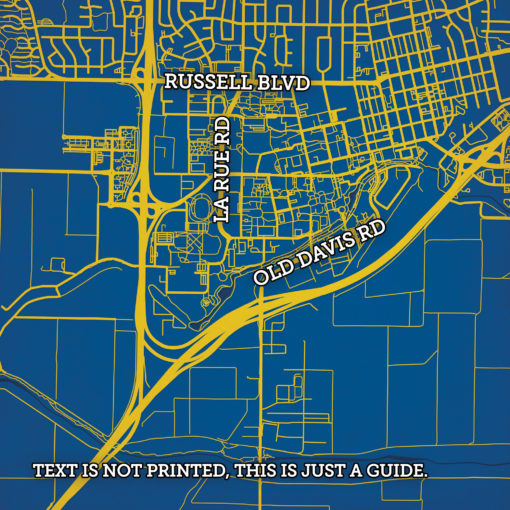 University of California, Davis Campus Map Art by City Prints - Image 2
