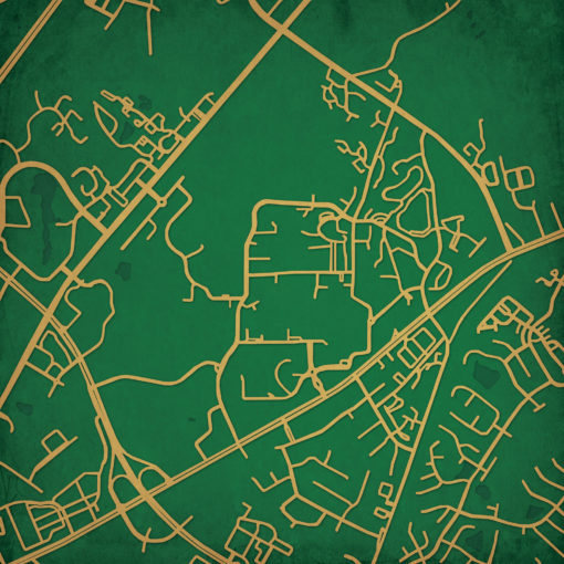 University of North Carolina at Charlotte Campus Map Art by City Prints
