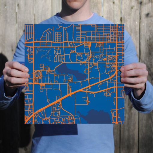 University of Florida Campus Map Art by City Prints - Image 3