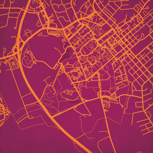Virginia Polytechnic Institute and State University Campus Map Art by City Prints