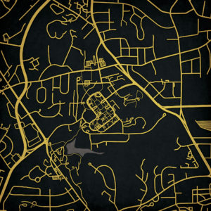 Wake Forest University Campus Map Art by City Prints