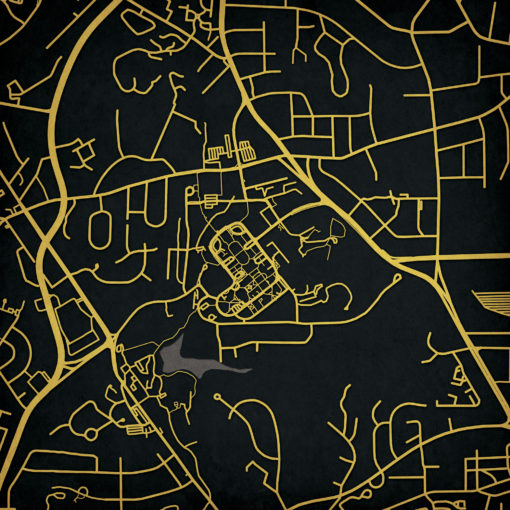 Wake Forest University Campus Map Art by City Prints