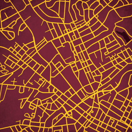 Winthrop University Campus Map Art by City Prints