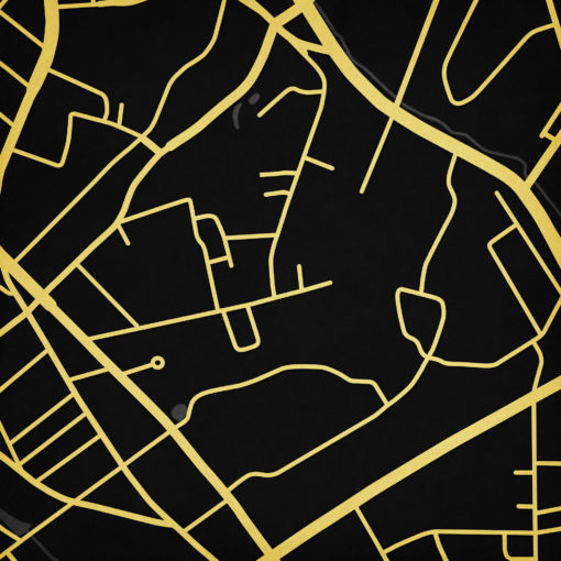 Wofford College Campus Map Art by City Prints