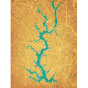 Lake Wylie Map Art by City Prints
