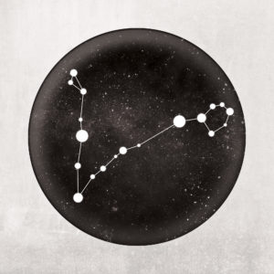 Pisces Constellation Art Print by City Prints