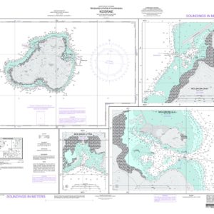 NGA Chart - Kosrae - 81488