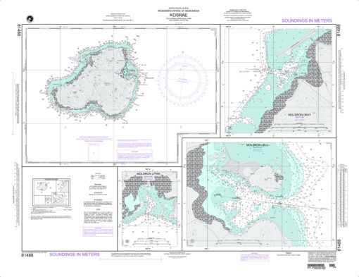 NGA Chart - Kosrae - 81488