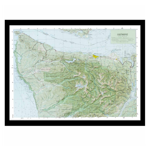 Olympic National Park Raised Relief Map by Hubbard Scientific - Image 7