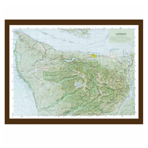 Olympic National Park Raised Relief Map by Hubbard Scientific - Image 6