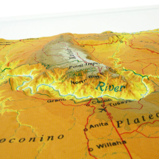 Arizona Raised Relief Map by Hubbard Scientific - Image 2