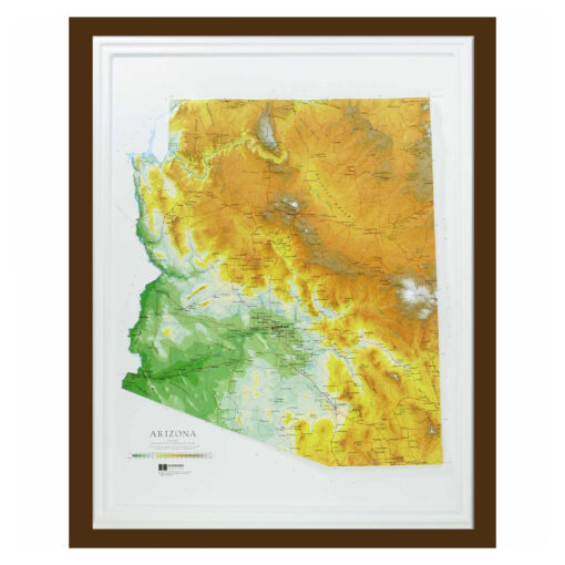 Arizona Raised Relief Map by Hubbard Scientific - Image 6