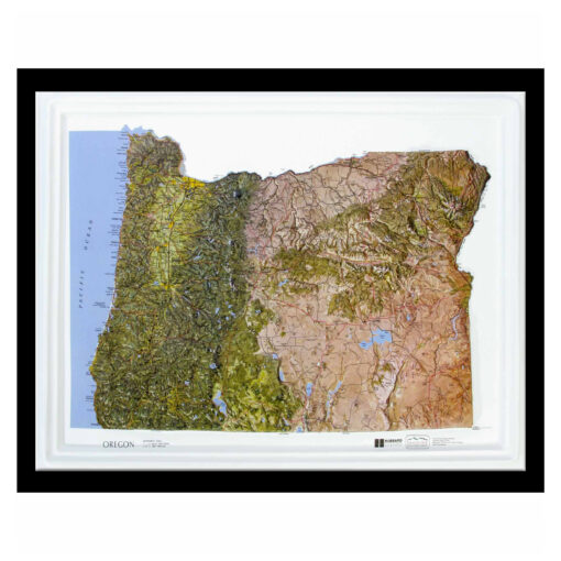 Oregon Satellite Raised Relief Map by Hubbard Scientific - Image 7