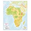 Color Blind Friendly Children's Physical Map of Africa by Cosmographics