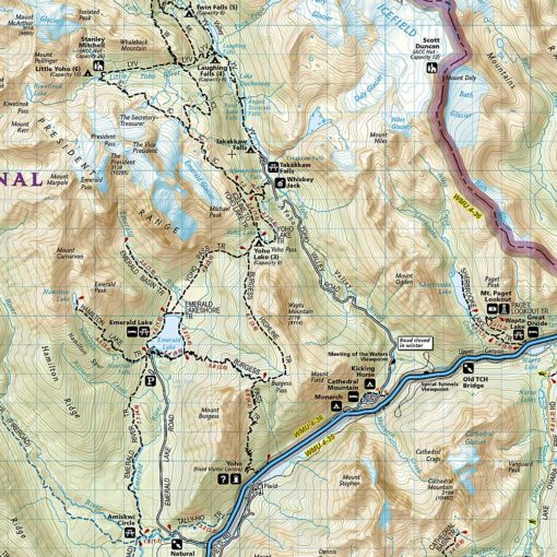 National Geographic - Banff North [Banff and Yoho National Parks] - Trails Illustrated Folding Travel Map - Image 2
