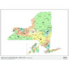 New York 2024 Congressional Districts Wall Map by MapShop