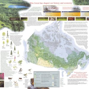 The Boreal Forest by Natural Resources Canada