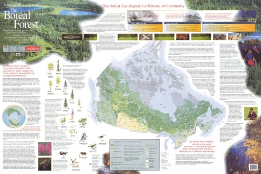 The Boreal Forest by Natural Resources Canada