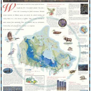 Wetlands by Natural Resources Canada
