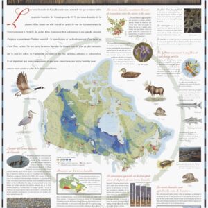 Terres humides by Natural Resources Canada