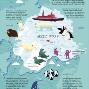Collins Children's Arctic Wall Map by Collins