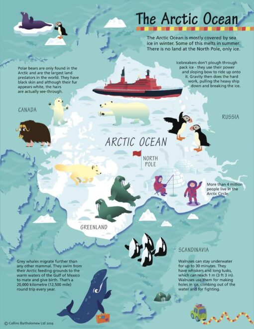 Collins Children's Arctic Wall Map by Collins