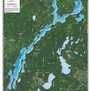 Owen Lake by Mapping Specialists