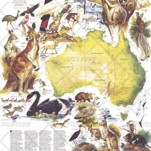 Australia, Land of Living Fossils  -  Published 1979 by National Geographic